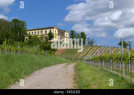 Castello Villa Ludwigshöhe Foto Stock