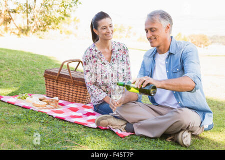 Coppia avente un picnic nel parco Foto Stock