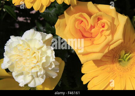 Splendida sistemazione floreale con una rosa gialla e garofano bianco Foto Stock