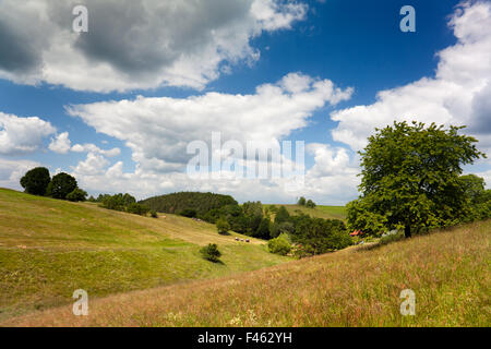 Paesaggio di Hummelshain Foto Stock