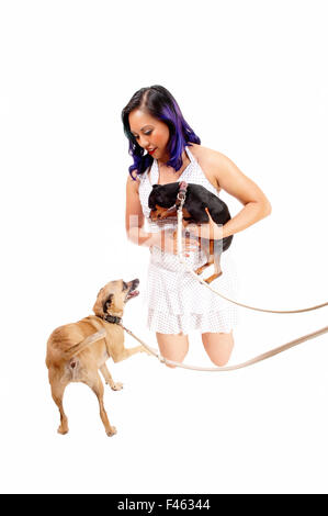 Donna che gioca con il cane. Foto Stock