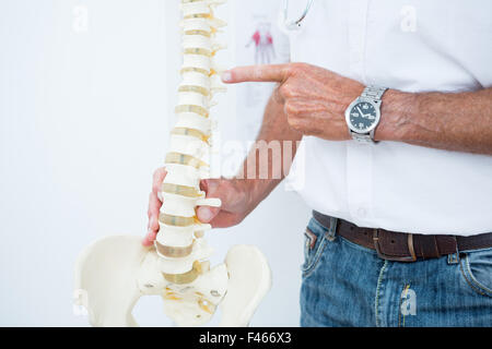 Medico che mostra la colonna vertebrale anatomica Foto Stock