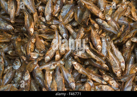 Pesce secco nel mercato nepalese Foto Stock