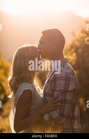 Uomo di baciare la sua donna sul fronte tra grapevine Foto Stock