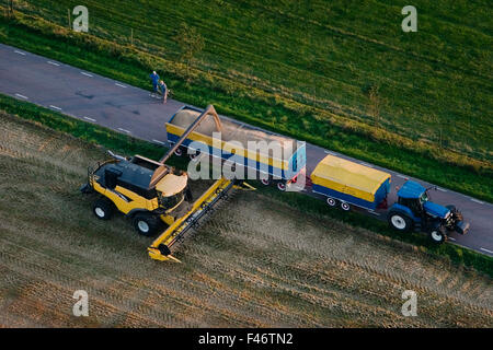 Una mietitrebbia su un campo, Svezia. Foto Stock