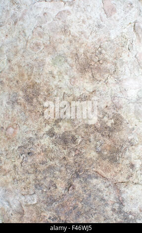 Superficie di pietra arenaria con patina, organico texture di sfondo spazio copia. Foto Stock