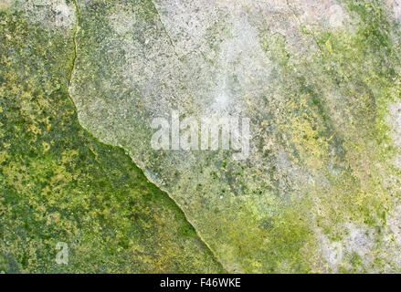 La superficie della pietra con patina verde, organico texture di sfondo spazio copia. Foto Stock