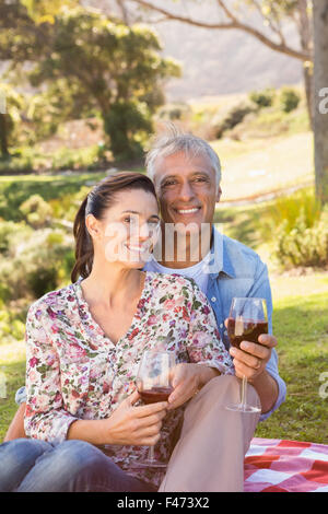 Coppia matura avente un picnic sul prato Foto Stock