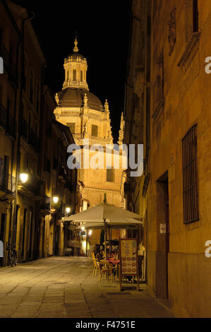 Salamanca, Calle de los Libreros. Via de la Plata, Libreros street, Castiglia-Leon, Spagna. Foto Stock