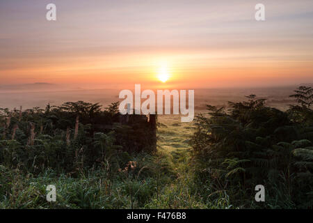 Il Rising Sun bruciare attraverso la nebbia in terreni agricoli Teesdale, County Durham Regno Unito Foto Stock