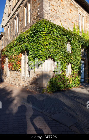 Angolo tradizionale casa coperta di edera Foto Stock