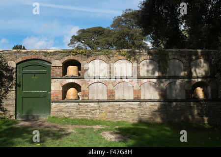 La bee boles nella parete dell'orto al Lost Gardens of Heligan, Cornwall, Regno Unito Foto Stock