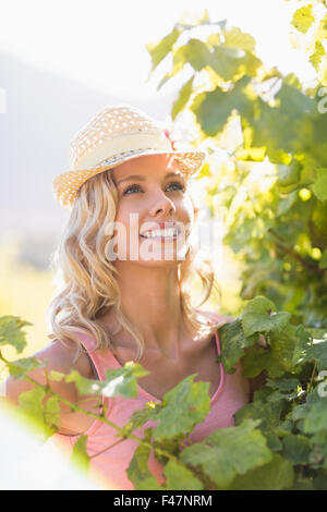 Donna sorridente indossando cappello di paglia e in piedi accanto a grapevine Foto Stock