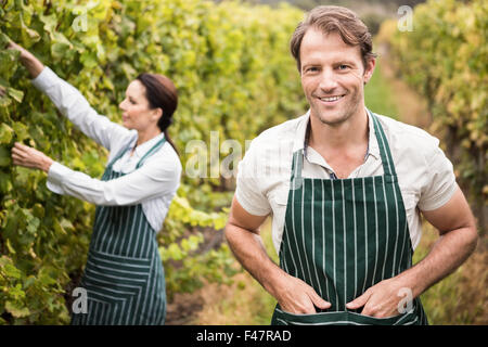 Felice viticoltore giovane lavorando in cantina Foto Stock