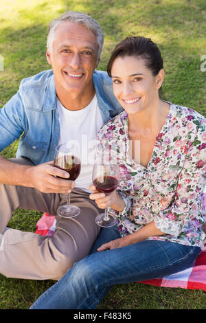 Coppia avente un picnic nel parco Foto Stock