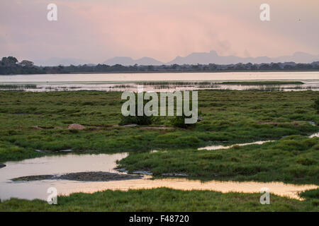 Paesaggio di palude tramonto in Arugam Bay Lagoon Sri Lanka Foto Stock