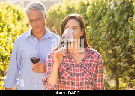 Donna sorridente la degustazione di vino nella parte anteriore del suo uomo Foto Stock