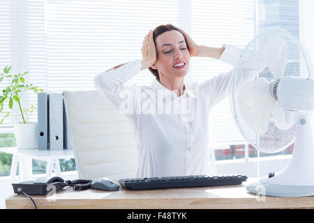 Sorridente imprenditrice prima della ventola Foto Stock