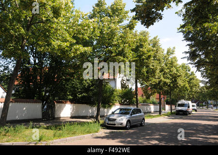 Calce d'argento Foto Stock