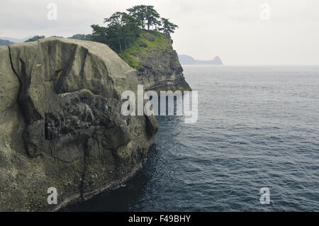 Panorama di mare roccioso Foto Stock