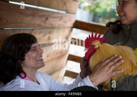 Buenos Aires, Argentina. 15 ottobre, 2015. Un cieco visitatore sperimenta la sensazione di toccare un gallo durante il "Experiential Zoo' attività, nel telaio del bastone bianco giorno di sicurezza, nella città di Buenos Aires, Argentina, dal 15 ottobre 2015. © Martin Zabala/Xinhua/Alamy Live News Foto Stock