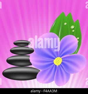 Pietre e fiore Foto Stock