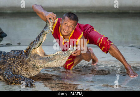 Samut Prakan, Thailandia. Xiii oct, 2015. Un artisti raggiunge la sua testa nella bocca di un coccodrillo durante una esibizione presso la fattoria dei coccodrilli in Samut Prakan, Thailandia, 13 ottobre 2015. La fattoria in Samut Prakan è annoverata tra le più grandi del mondo Crocodile Farm. Foto: Ian ROBERT KNIGHT/dpa/Alamy Live News Foto Stock