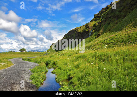 Prati verdi Foto Stock