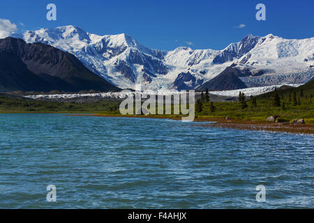 .Wrangell-St Elias NP Foto Stock