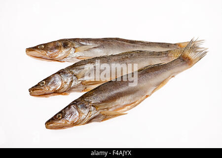 Pesce Foto Stock