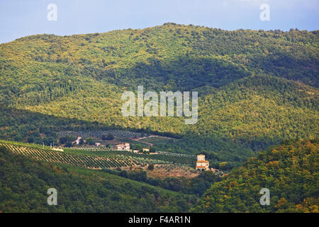 Nelle colline del Chianti, Toscana, Italia Foto Stock