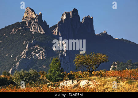 Dentelles de Montmirail Foto Stock