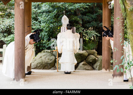 Nishinomiya santuario, Giappone, lo Shintoismo Sacerdoti, Kannushi, con sommo sacerdote facendo offerte a quattro altri sacerdoti. Tutti Kammuri usura, Black Hats. Foto Stock