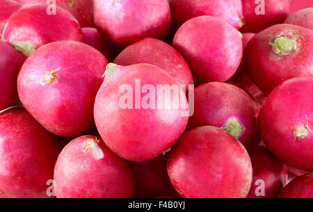 Bella delizioso radicchio rosso fotografato vicino fino Foto Stock