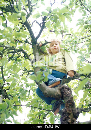 Un ragazzo di arrampicata in una struttura ad albero. Foto Stock