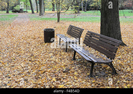 Panchine in un parco in autunno Foto Stock