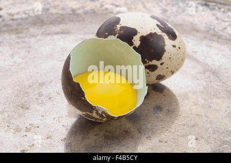 Rotture di uovo di quaglia su lastra d'argento Foto Stock