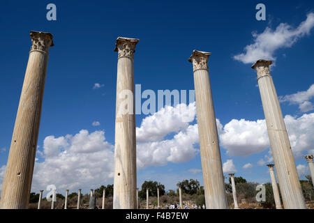 Fila di pilastri in antiche rovine romane, città di Salamina, Famagosta Cipro Nord KATHY DEWITT Foto Stock