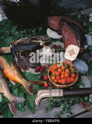 Carne di cervo, il pesce e le bacche di rovo. Foto Stock