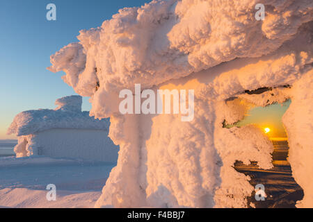 Trasformata per forte gradiente coperto di brina cabine, Lapponia, Svezia Foto Stock