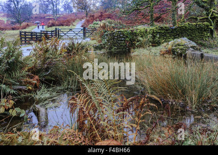 Tarn Howes Cumbria Regno Unito Foto Stock