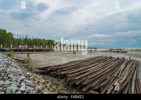 Le mangrovie e pontile a mare con vista nuvoloso Foto Stock