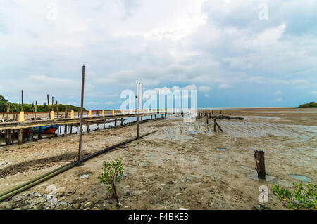 Le mangrovie e pontile a mare con vista nuvoloso Foto Stock