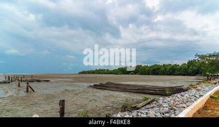 Le mangrovie e pontile a mare con vista nuvoloso Foto Stock