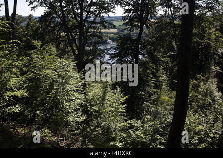 Alberi con lago Baldeneysee, Essen, Germania Foto Stock