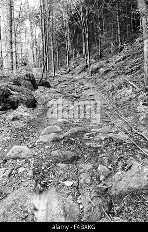 Strada trafficata un lungo tempo fa in bianco e nero Foto Stock