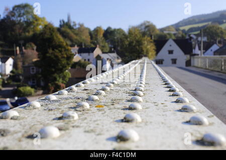 Rivetti sul Brockweir ponte sopra il fiume Wye Foto Stock