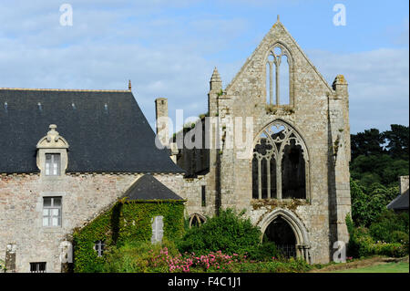 Abbaye de Beauport,le rovine della cappella e batiment au Duc,Paimpol,Cotes-d'Armor,Bretagne,Brittany,Francia Foto Stock