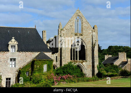 Abbaye de Beauport,le rovine della cappella e batiment au Duc,Paimpol,Cotes-d'Armor,Bretagne,Brittany,Francia Foto Stock