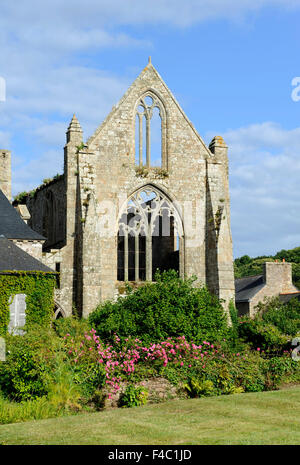 Abbaye de Beauport,le rovine della cappella,Paimpol,Cotes-d'Armor,Bretagne,Brittany,Francia Foto Stock